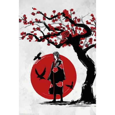 Plagát, Obraz - Ninja under the Sun, 61 × 91.5 cm