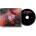 Universal Rolling Stones: Hackney Diamonds - CD (065521)