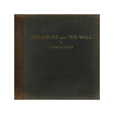 Joshua Radin - The Ghost And The Wall LP