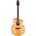 Ibanez PA230E-NSL