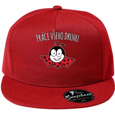 Práce všeho druhu Ferda mravenec 5P RAP
