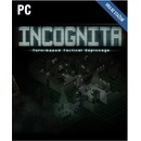 Incognito