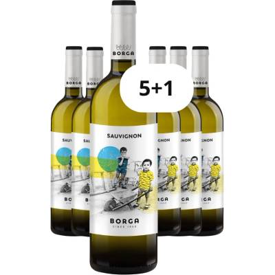 Cantine Borga Sauvignon 2025 12% 6 x 0,75 l (holá láhev)