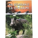Na súmraku za diviakmi