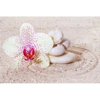 DIMEX ART s. r. o Флизелинов фототапет релаксиращ пясък 375 x 250 см