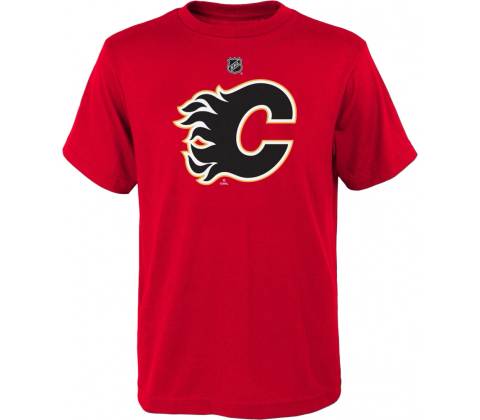Calgary Flames Team Logo
