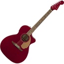 Fender Newporter Player