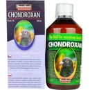 Doplnky stravy Holub Chondroxan 500 ml
