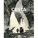 Cesta