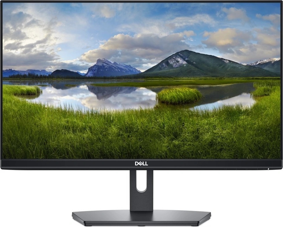Dell SE2219H