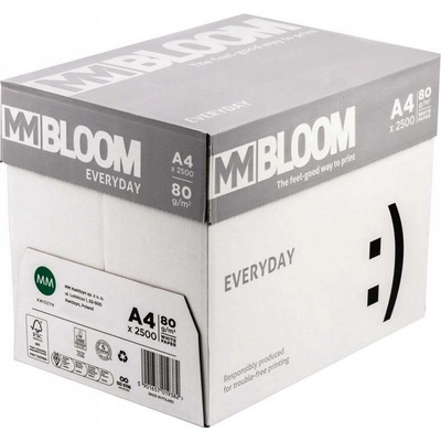 Format A4 80g 500 ks