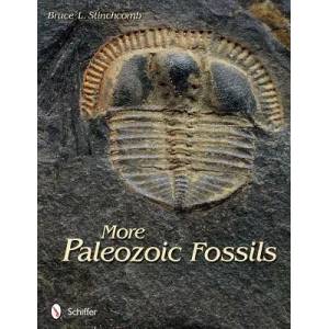 More Paleozoic Fsils | Bruce L. Stinchcomb (2012)