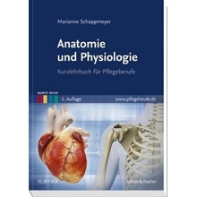 Anatomie und Physiologie