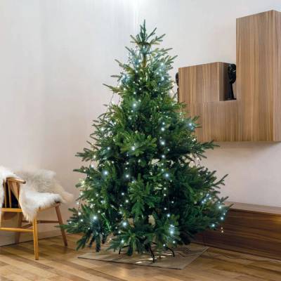 Family LED vianočný strom - 1,9 m - 120 LED, studená biela - IP44