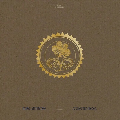 Mary Lattimore - Collected Pieces: 2015 - 2020 (Gold Vinyl) (2 LP) (804297839028)