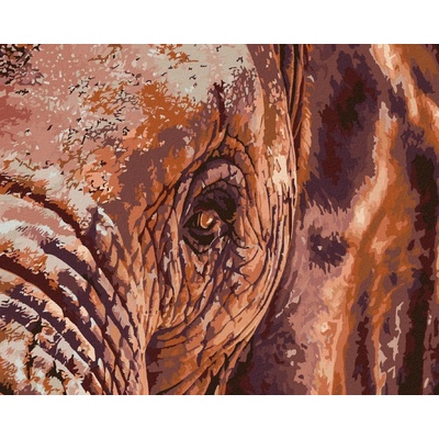 zuty Malování podle čísel Sloní pohled 100 x 80 cm vypnuté plátno na rám