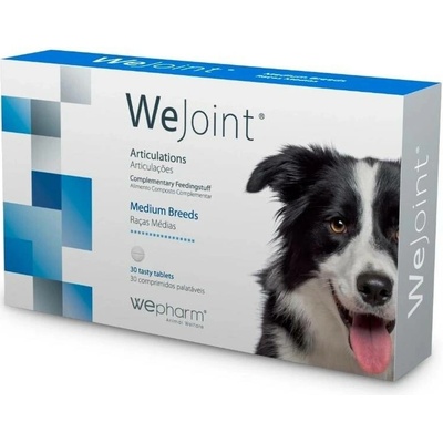 Wepharm WeJoint pro střední psy 30 tbl