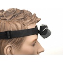 Author X-HEAD