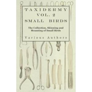 Taxidermy Vol. 2 Small Birds - The Collection, Skinning and Mounting of Small Birds | Various (ISBN: 9781446524039)