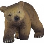 Russell Athletic Bear Pyrenean mouldy
