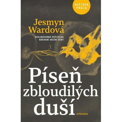 Píseň zbloudilých duší - Jesmyn Wardová