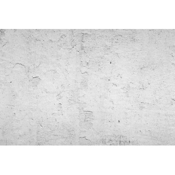 DIMEX ART s. r. o Флизелинов фототапет малова мазилка 375 x 250 см