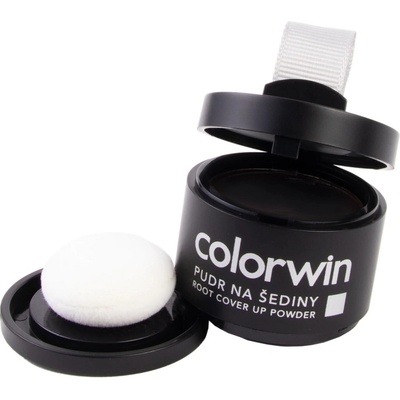 Colorwin Pudr na šediny černý 3,2 g