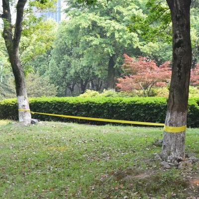 Meedo Slackline 15 m x 50 mm – Zboží Dáma