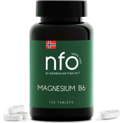 NFO Magnesium B6 120 tablet