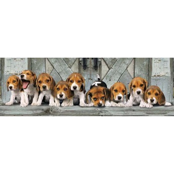 Clementoni - Puzzle Beagles 3 - 1 000 piese