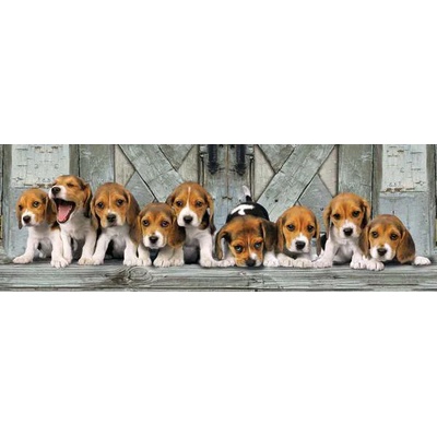 Clementoni - Puzzle Beagles 3 - 1 000 piese