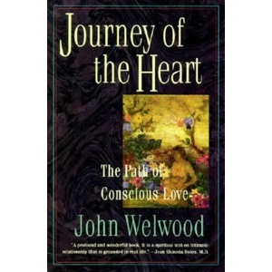Journey of the Heart | John Welwood (ISBN: 9780060927424)