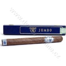 Stanislaw Vintage Blue Jumbo