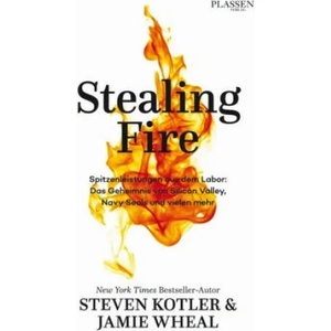Stealing Fire | Steven Kotler, Jamie Wheal, Hubert Mania (ISBN: 9783864705618)