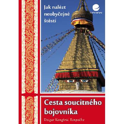 Cesta soucitného bojovníka Dzigar Kongtrül 2012 (E-kniha)