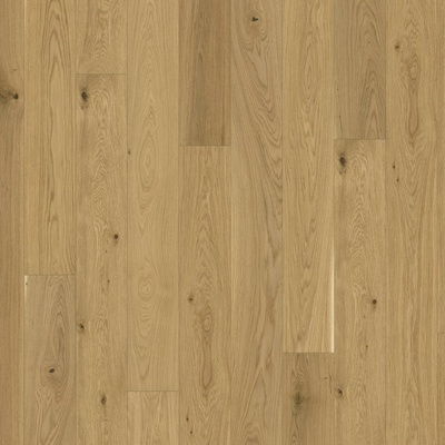 Parador Trendtime 4 M4V Dub Molvina 1748907 2.894 m²