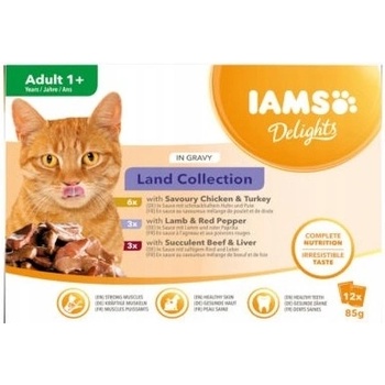 Iams Cat Multibox zo suchozemského mäsa 12 x 85 g