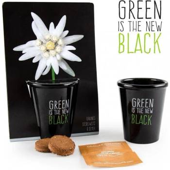 Image 1 of Radis et Capucine Черна саксия Еделвайс (035732)