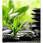 DIMEX ART Флизелинов фототапет каменен дзен 225 x 250 см