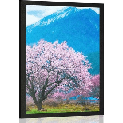 Plakát kouzelný japonský strom - 20x30 white