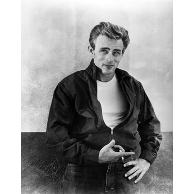 Plakát, Obraz - Rebel Without A Cause directed by Nicholas Ray, 1955, 30 × 40 cm