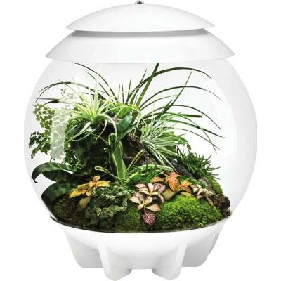 BiOrb Air Terrarium bílé 30 l