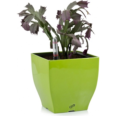 G21 Samozavlažovací květináč Cube mini zelený 13.5 cm