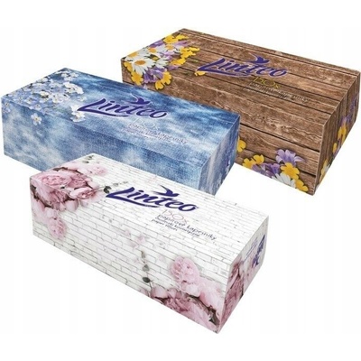 Linteo Satin papírové kapesníčky 2 vrstvé 200 ks