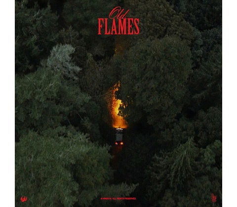 La Roux - OLD FLAMES Vinyl