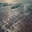 Shore - Fleet Foxes LP