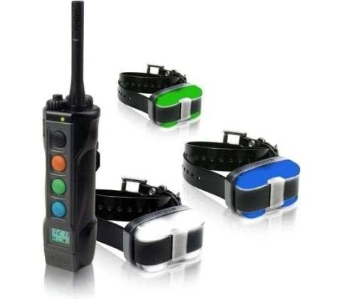 Dogtra 4503 EDGE