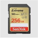 SanDisk SDXC 512 GB SDSDXVV-512G-GNCIN
