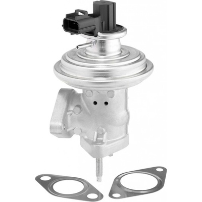 AGR - Ventil BORGWARNER 712071D