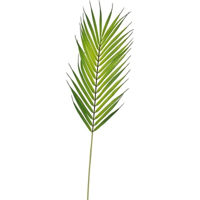LIST PALMOVÝ 64CM